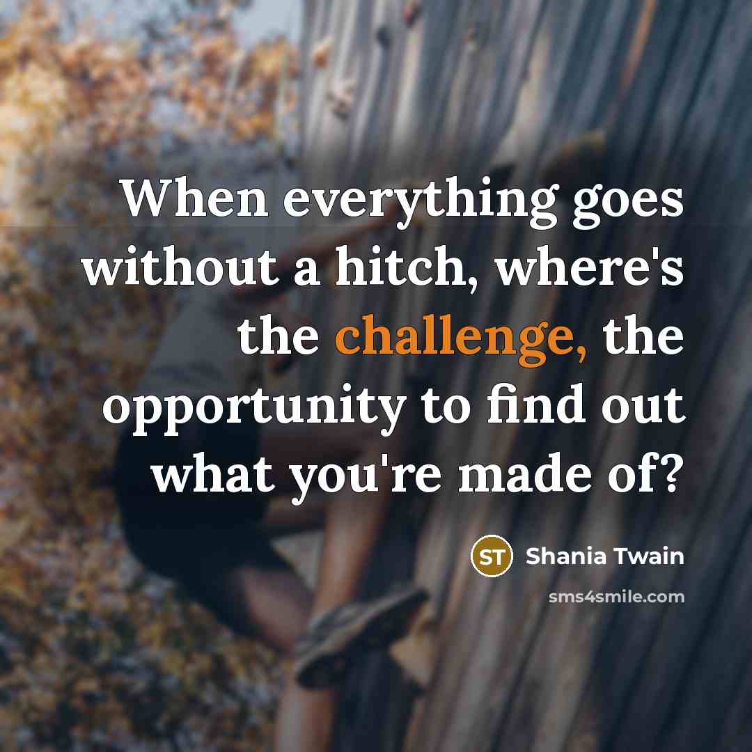 “When everything goes without a hitch, where's the challenge, the opportunity to find out what you're made of?” quote by Shania Twain