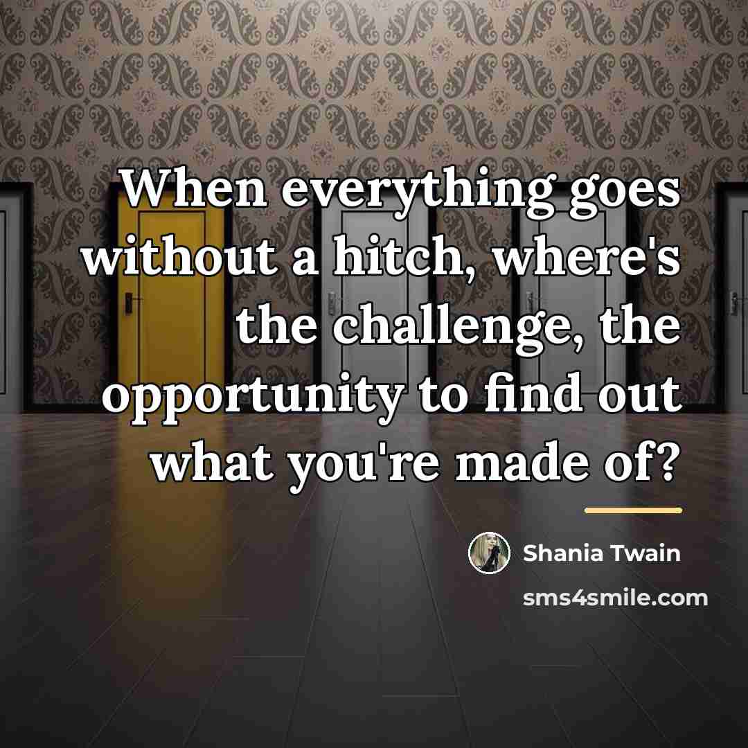 “When everything goes without a hitch, where's the challenge, the…” quote by Shania Twain