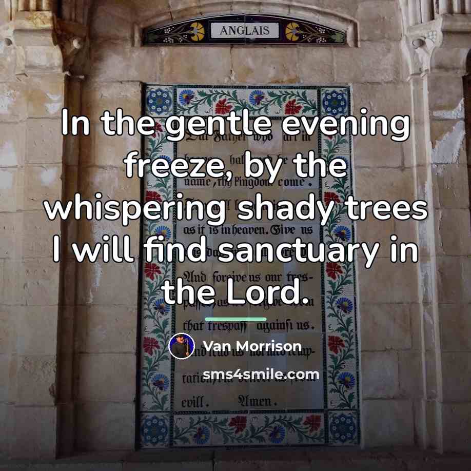 “In the gentle evening freeze, by the whispering shady trees…” quote by Van Morrison