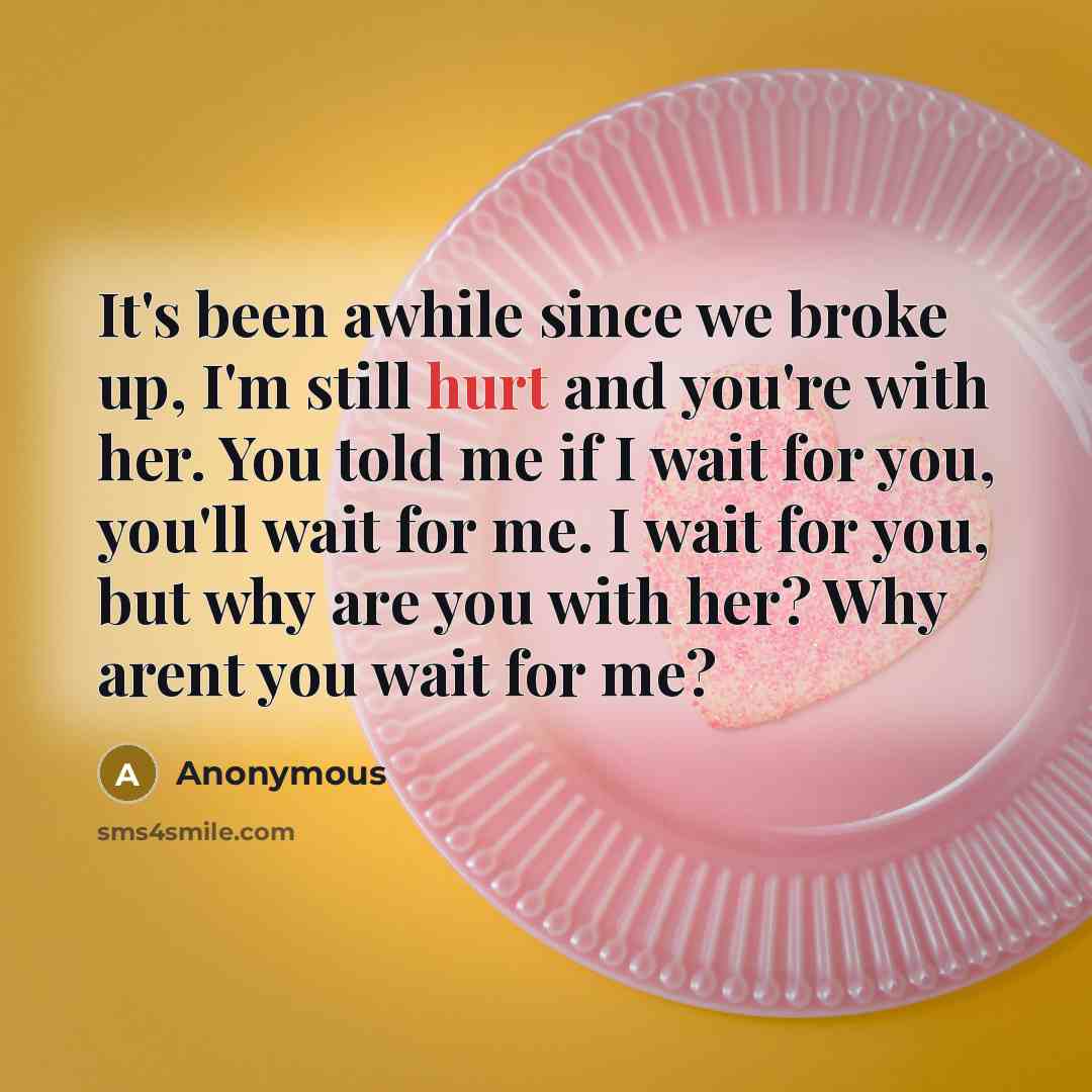 “It's been awhile since we broke up, I'm still hurt…” quote by Anonymous