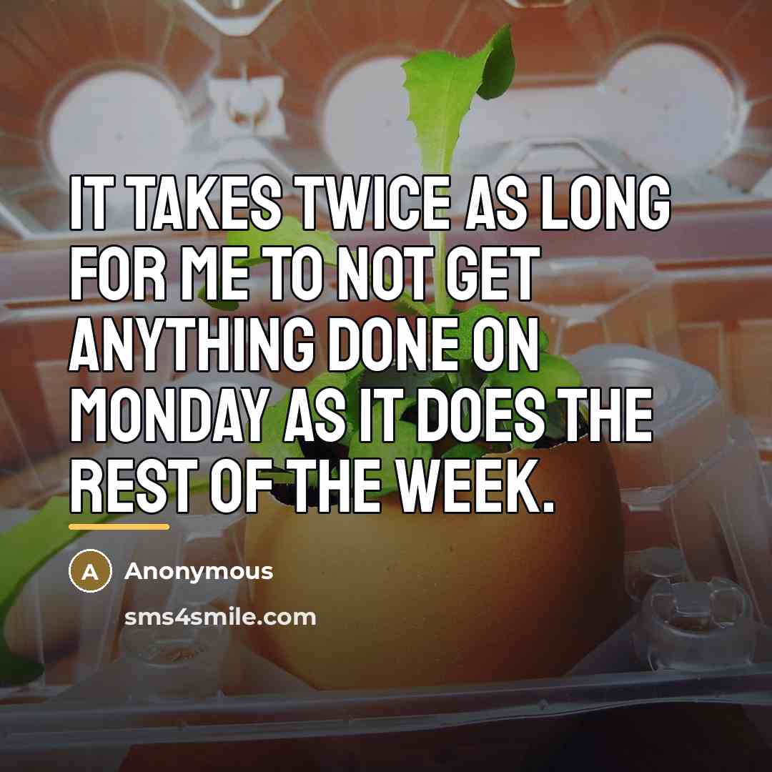 “It takes twice as long for me to not get…” quote by Anonymous