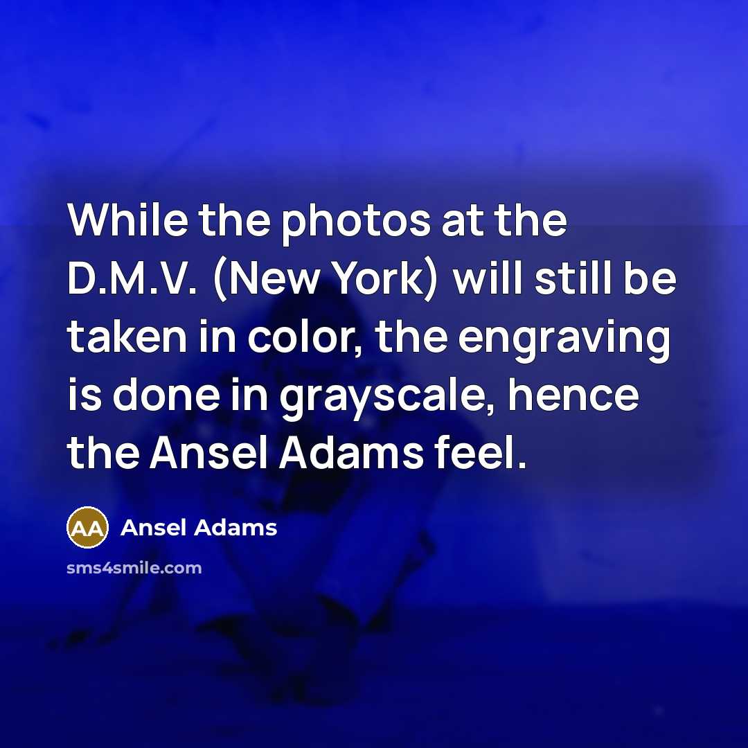 “While the photos at the D.M.V. (New York) will still…” quote by Ansel Adams