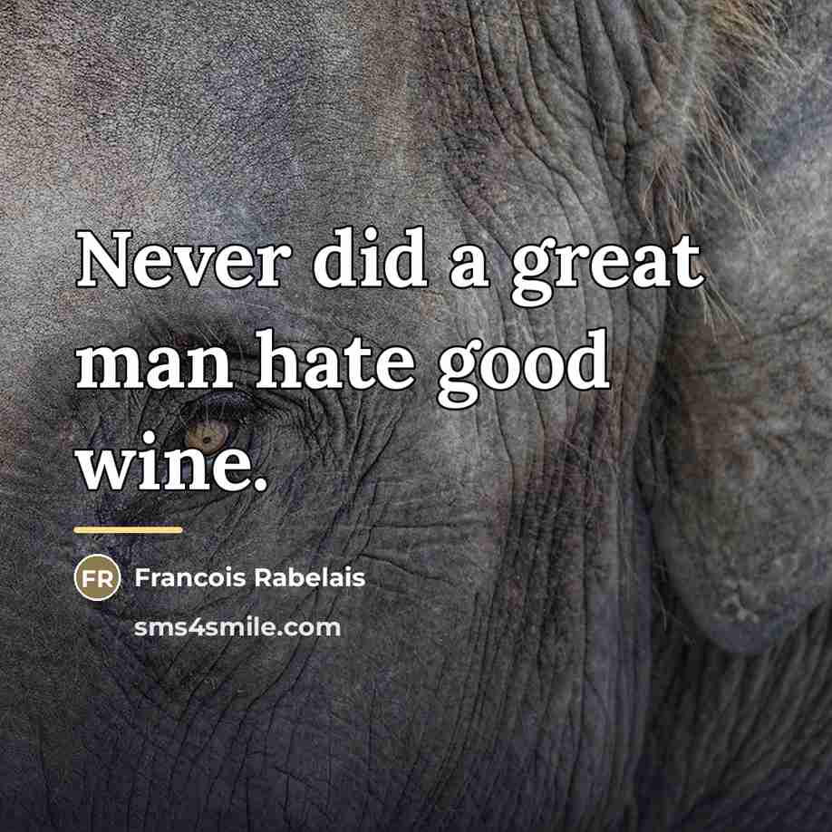 “Never did a great man hate good wine.…” quote by Francois Rabelais