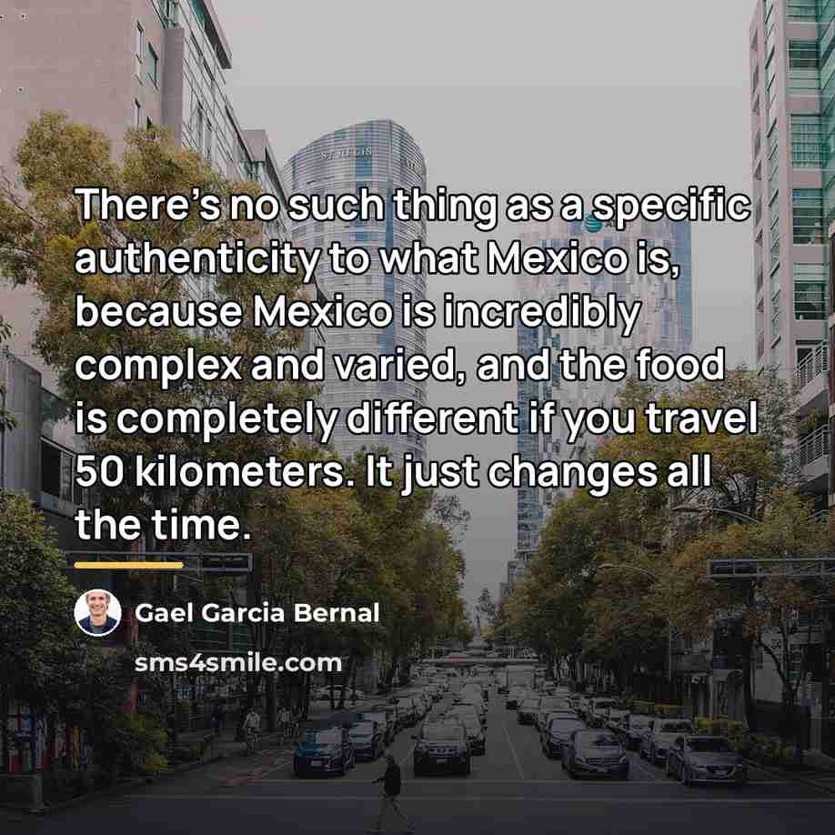 “There's no such thing as a specific authenticity to what…” quote by Gael Garcia Bernal