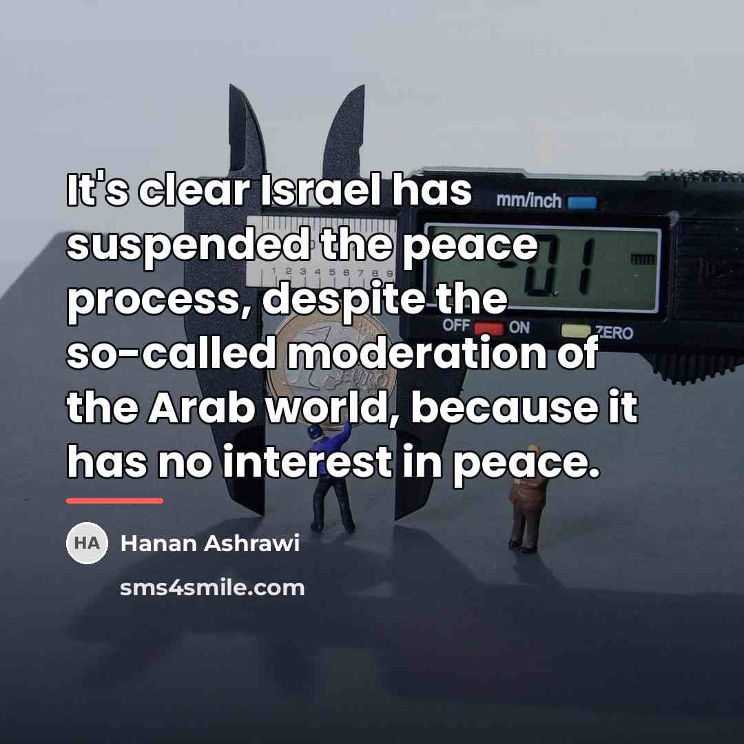 “It's clear Israel has suspended the peace process, despite the…” quote by Hanan Ashrawi