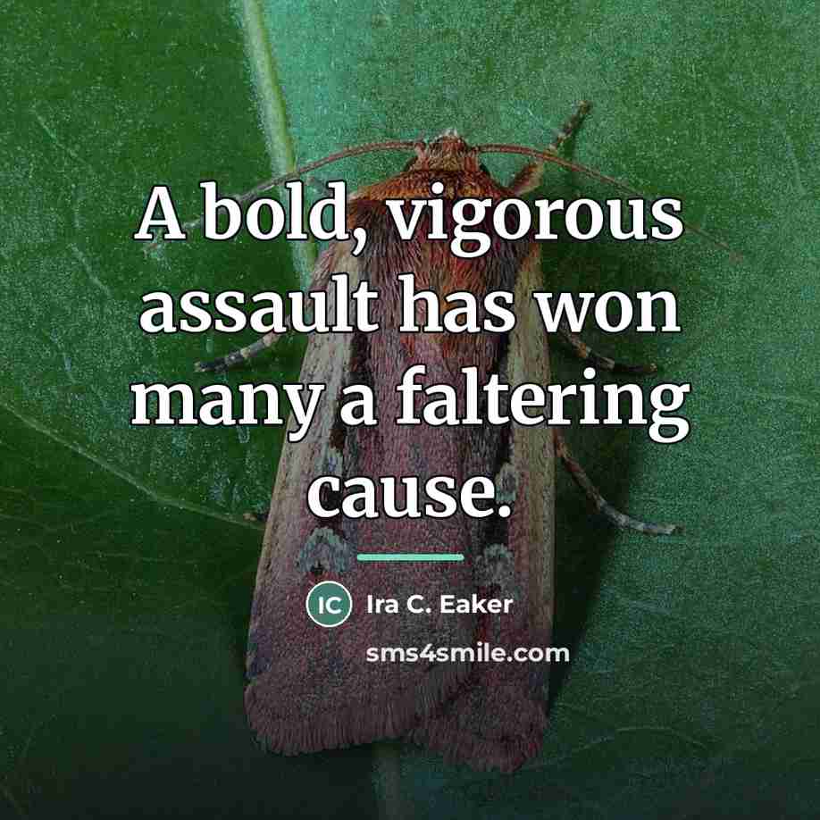 “A bold, vigorous assault has won many a faltering cause.…” quote by Ira C. Eaker