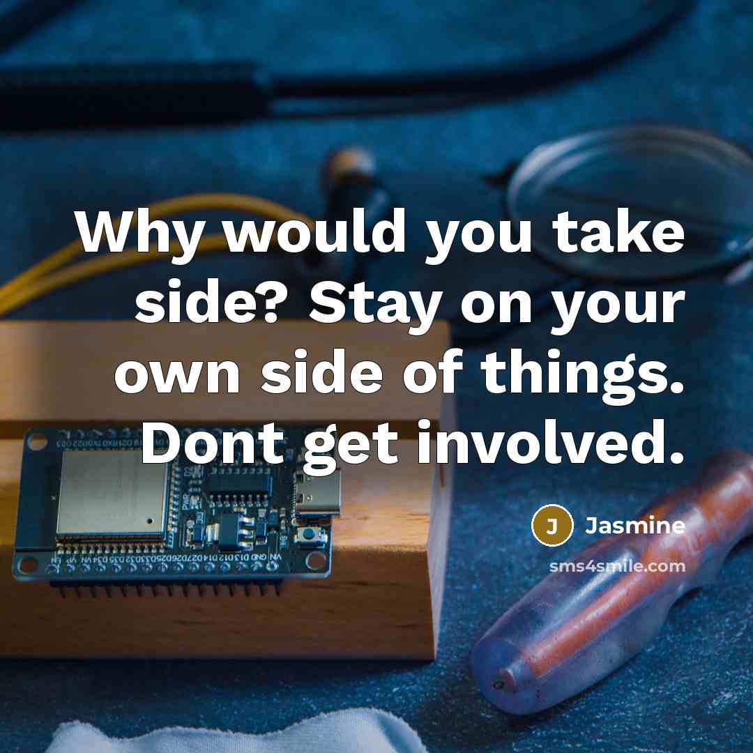 “Why would you take side? Stay on your own side of things. Dont get involved.” quote by Jasmine