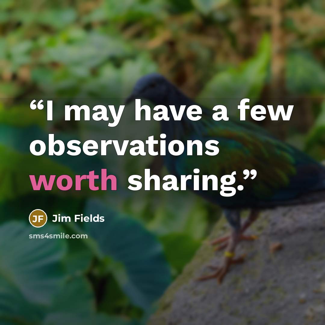 “I may have a few observations worth sharing.” quote by Jim Fields