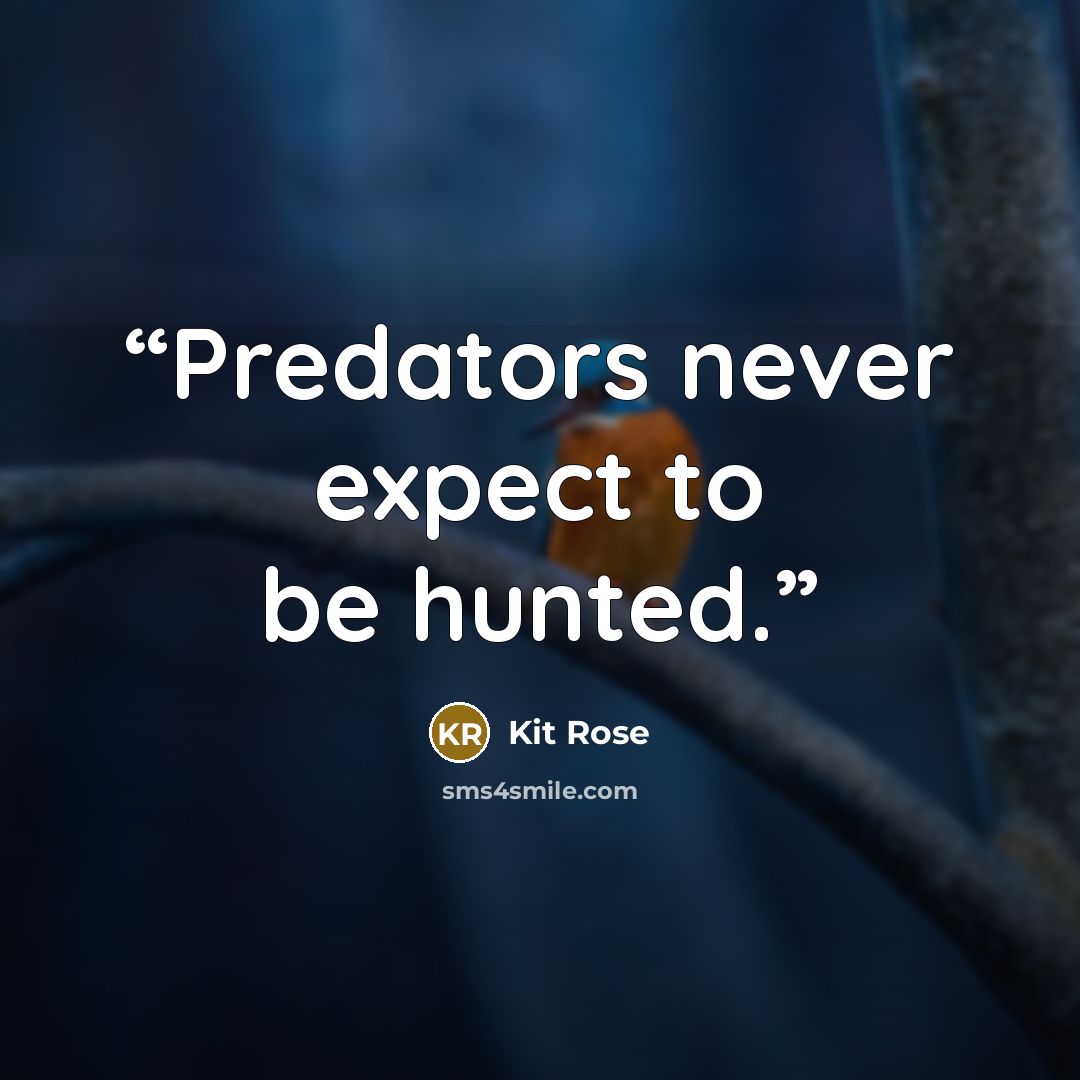 “Predators never expect to be hunted.” quote by Kit Rose