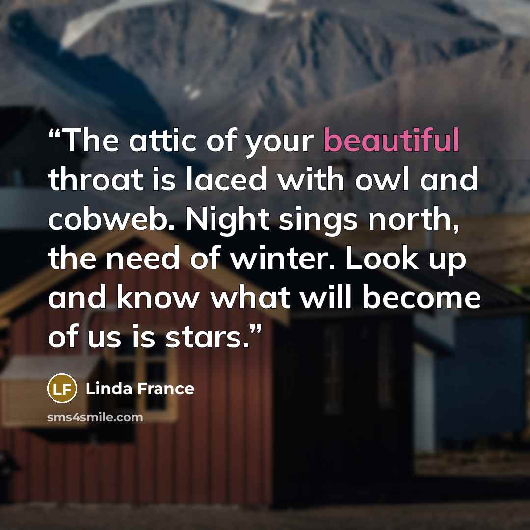 “The attic of your beautiful throat is laced with owl and cobweb. Night sings north, the need of winter. Look up and know what will become of us is stars.” quote by Linda France