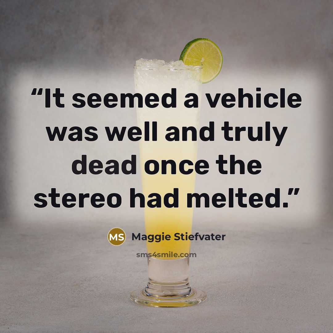 “It seemed a vehicle was well and truly dead once the stereo had melted.” quote by Maggie Stiefvater
