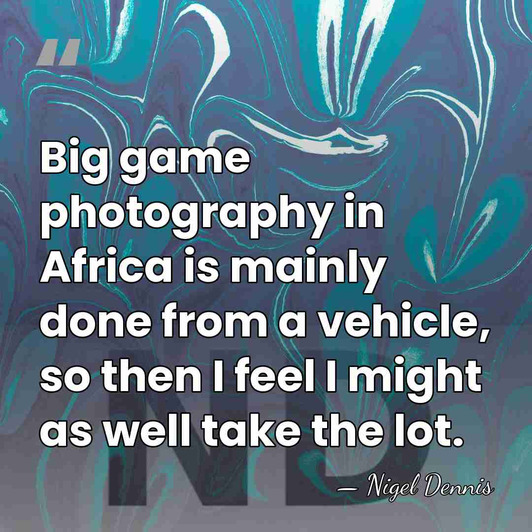 Big game photography in Africa is mainly done from a vehicle, so&hellip; - Nigel Dennis