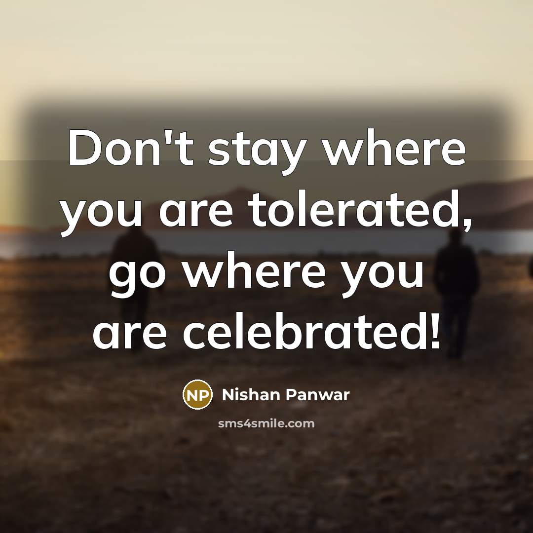 “Don't stay where you are tolerated, go where you are…” quote by Nishan Panwar