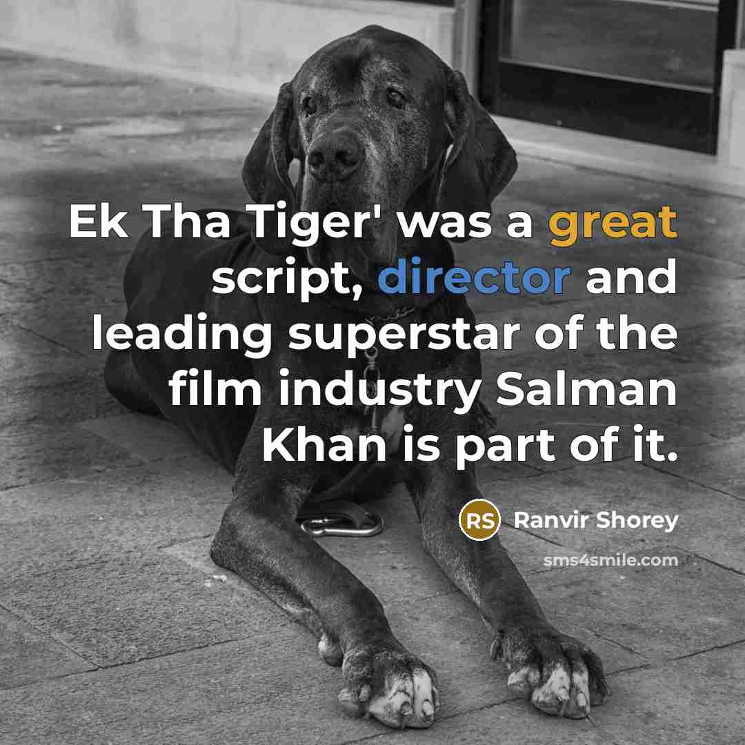 “Ek Tha Tiger' was a great script, director and leading superstar of the film industry Salman Khan is part of it.” quote by Ranvir Shorey