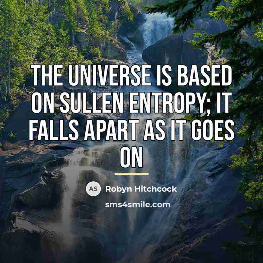 “The universe is based on sullen entropy; It falls apart…” quote by Robyn Hitchcock