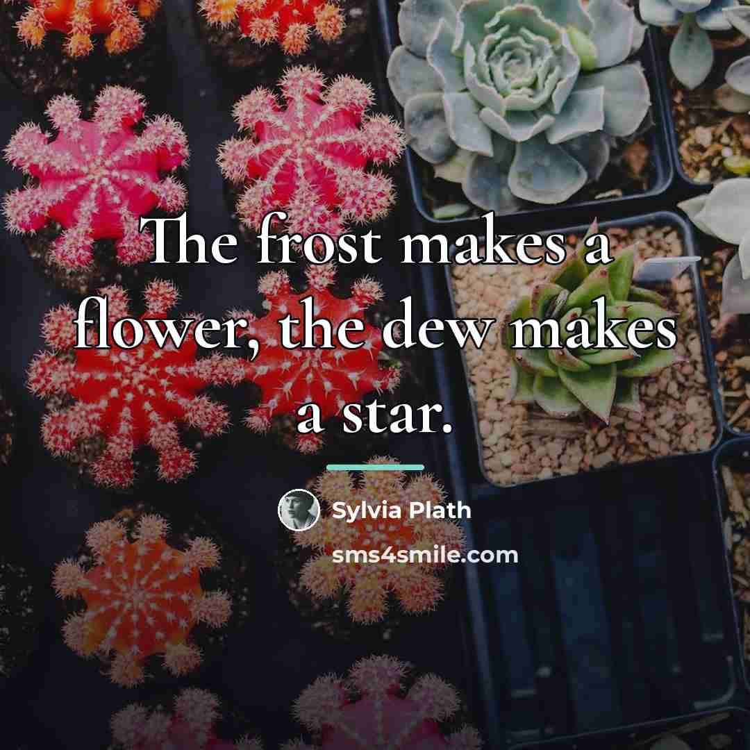 “The frost makes a flower, the dew makes a star.…” quote by Sylvia Plath
