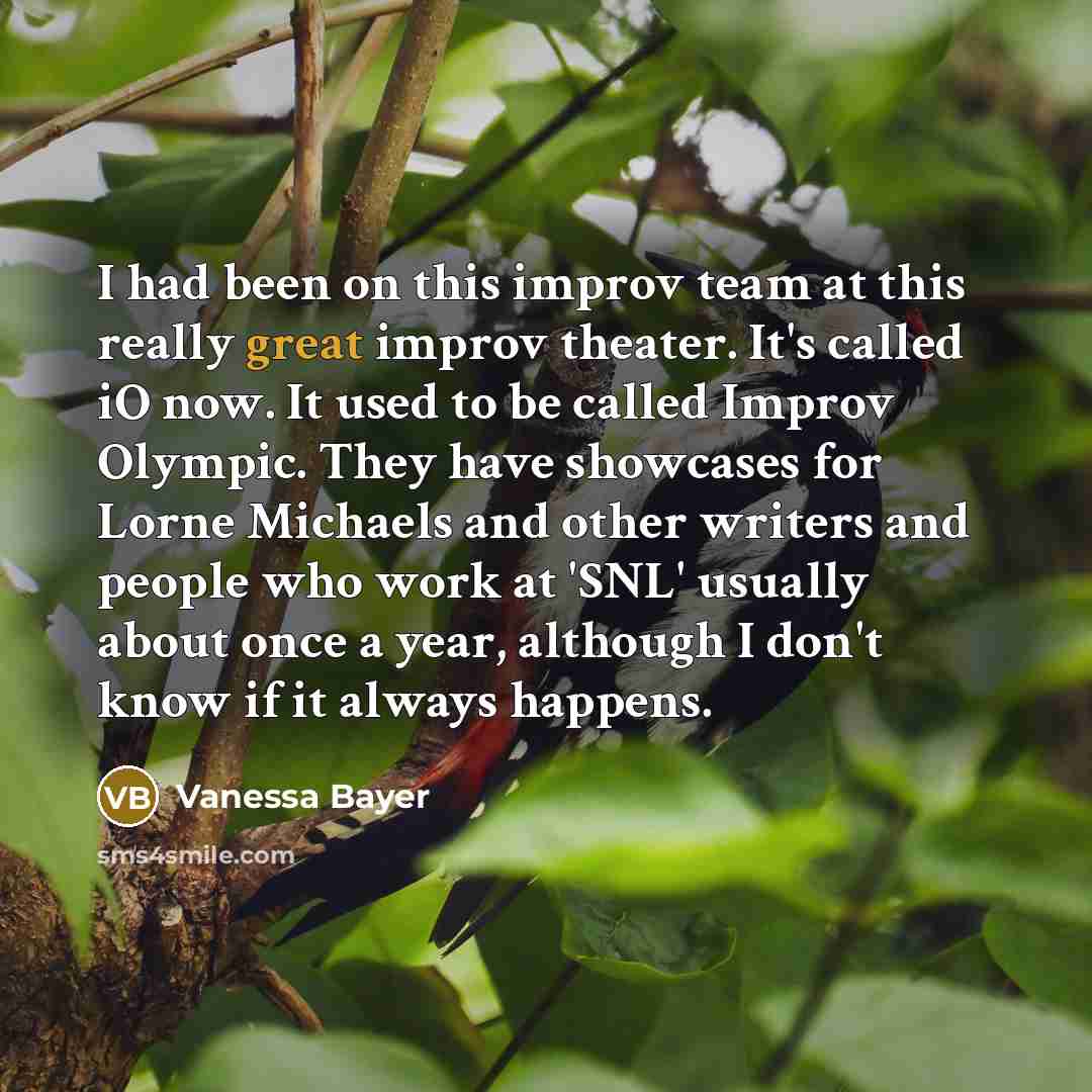 “I had been on this improv team at this really…” quote by Vanessa Bayer