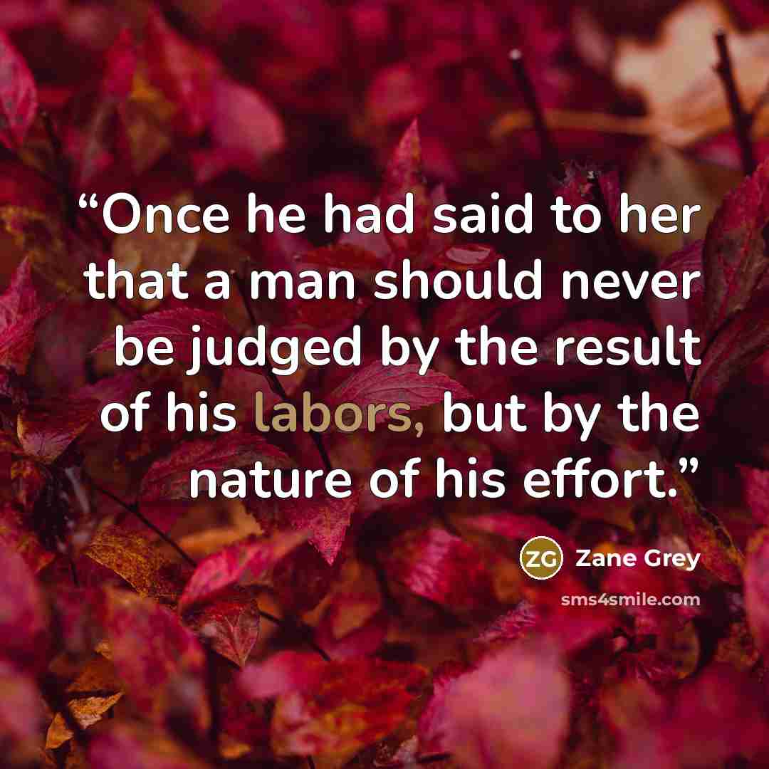 “Once he had said to her that a man should never be judged by the result of his labors, but by the nature of his effort.” quote by Zane Grey