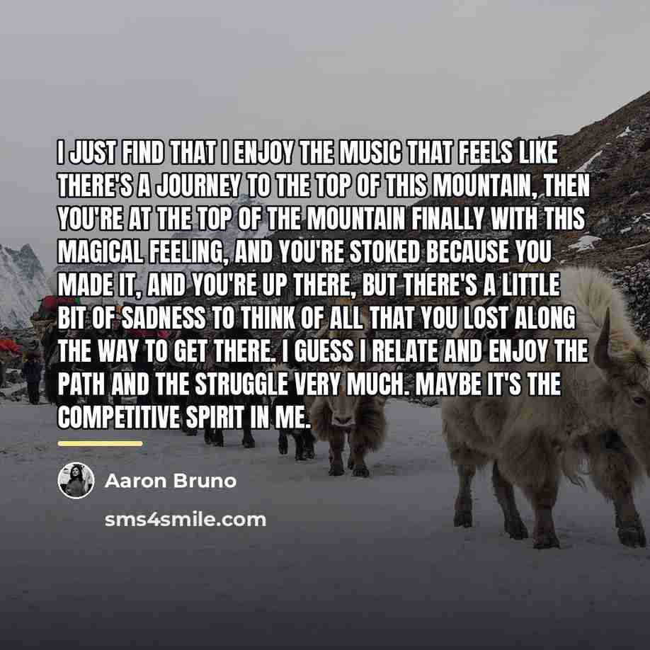 “I just find that I enjoy the music that feels…” quote by Aaron Bruno