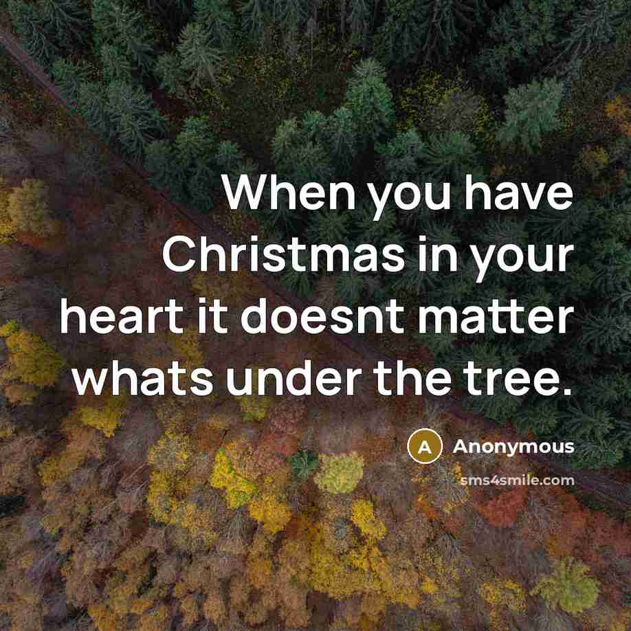 “When you have Christmas in your heart it doesnt matter…” quote by Anonymous