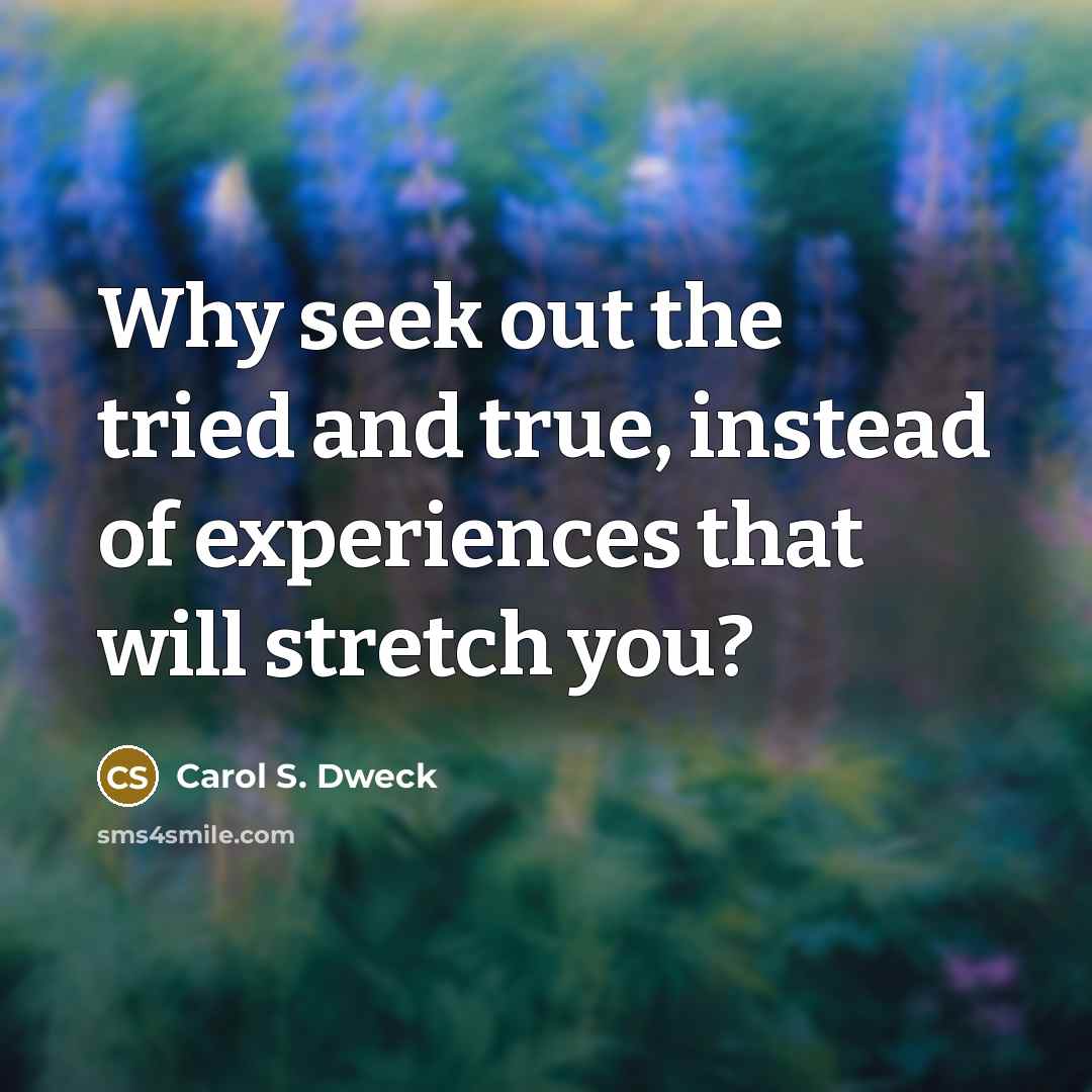 “Why seek out the tried and true, instead of experiences…” quote by Carol S. Dweck