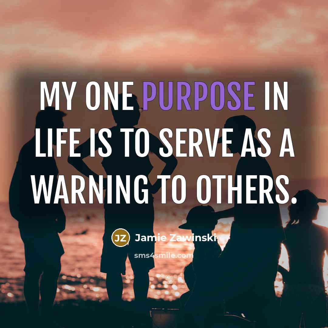 “My one purpose in life is to serve as a…” quote by Jamie Zawinski