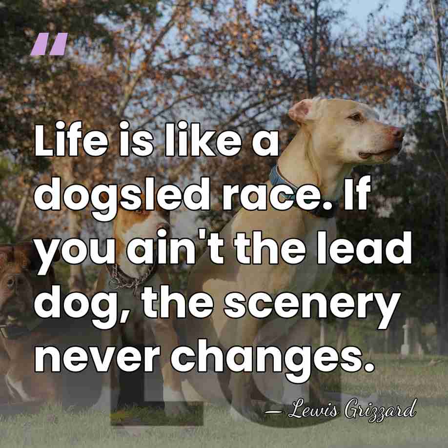 Life is like a dogsled race. If you ain't the lead dog,&hellip; - Lewis Grizzard