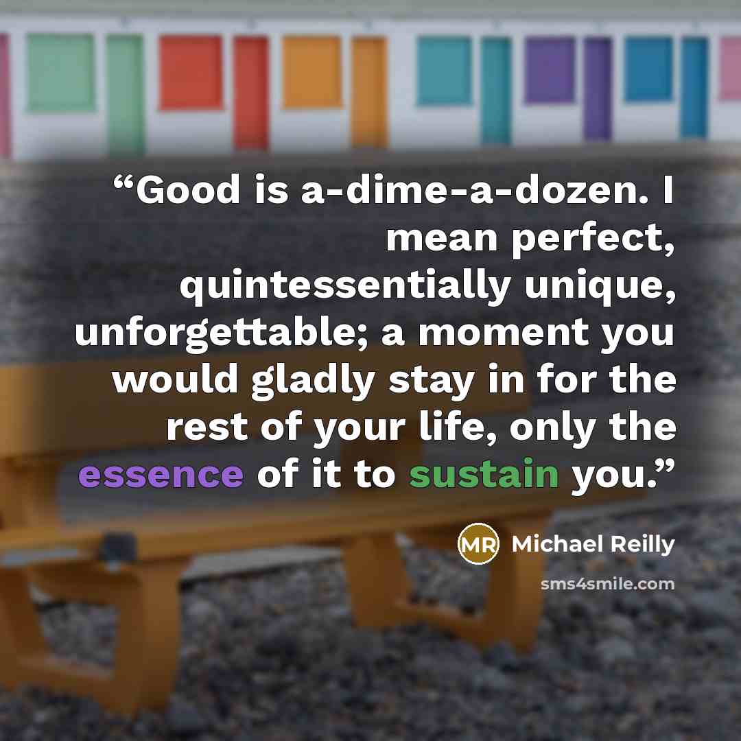 “Good is a-dime-a-dozen. I mean perfect, quintessentially unique, unforgettable; a moment you would gladly stay in for the rest of your life, only the essence of it to sustain you.” quote by Michael Reilly