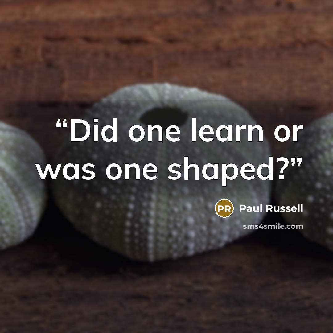 “Did one learn or was one shaped?” quote by Paul Russell