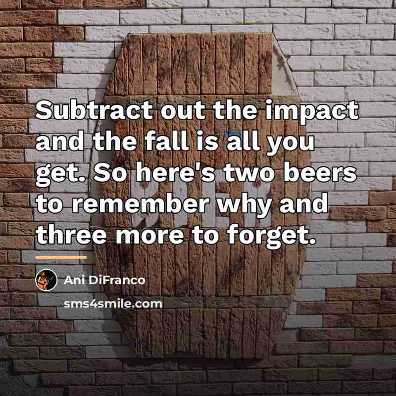 “Subtract out the impact and the fall is all you…” quote by Ani DiFranco