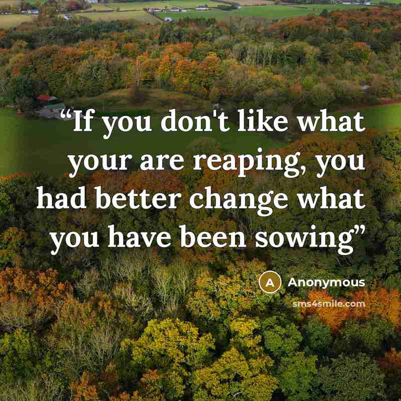 “If you don't like what your are reaping, you had better change what you have been sowing” quote by Anonymous