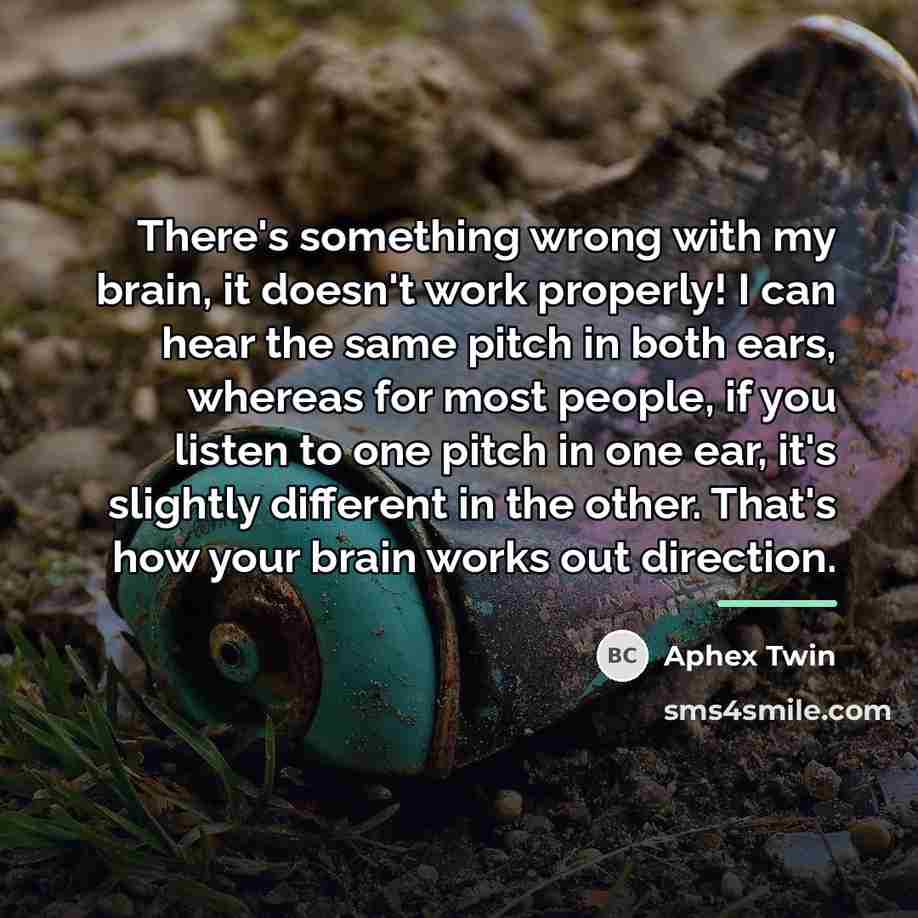 “There's something wrong with my brain, it doesn't work properly!…” quote by Aphex Twin