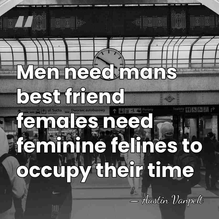 Men need mans best friend females need feminine felines to occupy their&hellip; - Austin Vanpelt