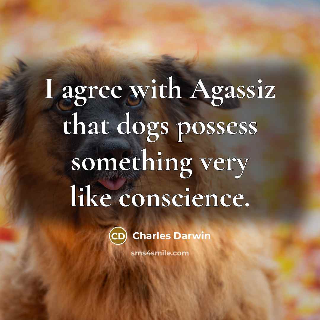“I agree with Agassiz that dogs possess something very like…” quote by Charles Darwin