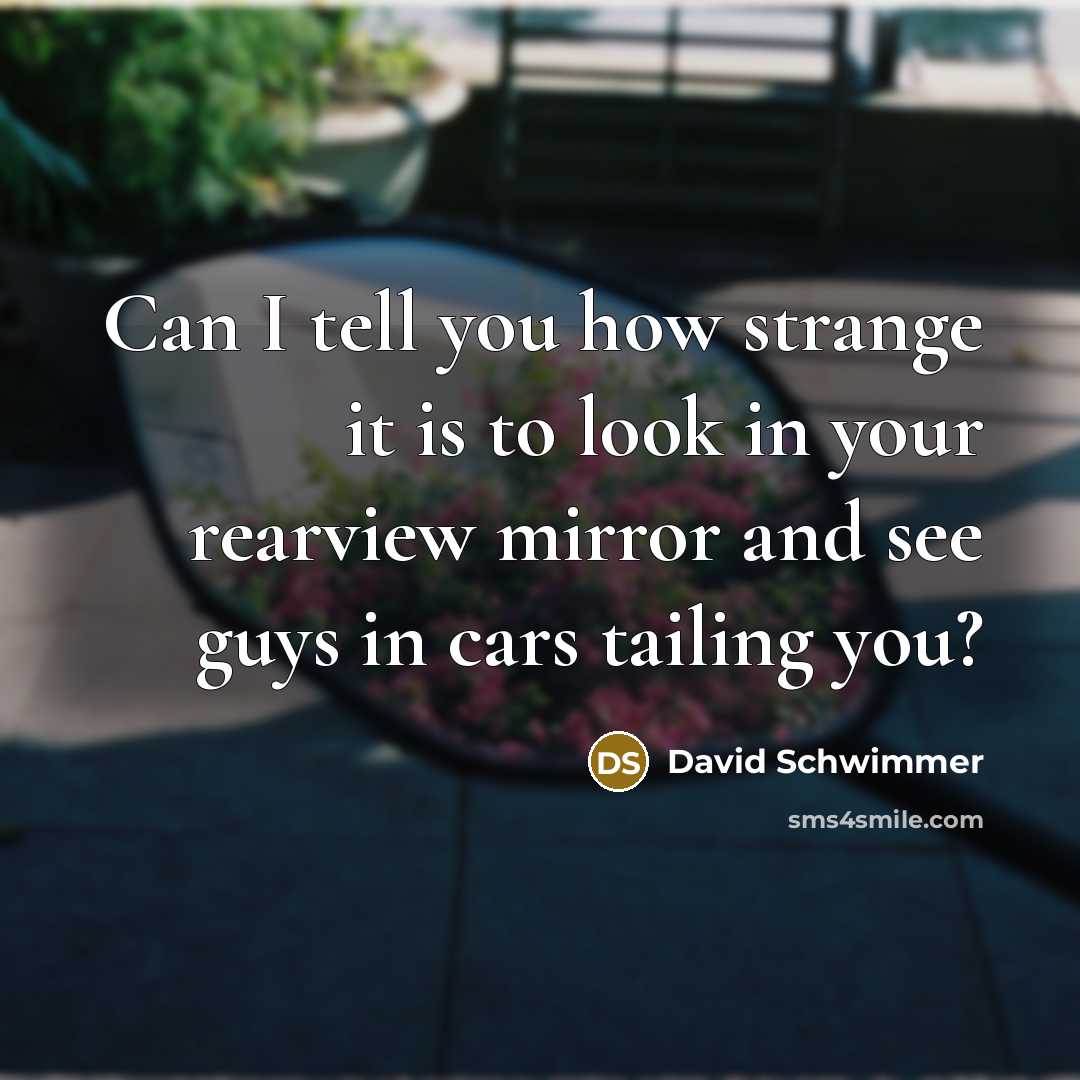 “Can I tell you how strange it is to look…” quote by David Schwimmer