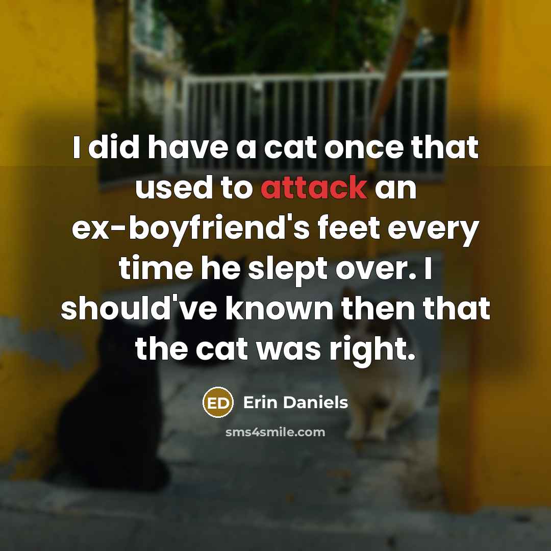 “I did have a cat once that used to attack an ex-boyfriend's feet every time he slept over. I should've known then that the cat was right.” quote by Erin Daniels