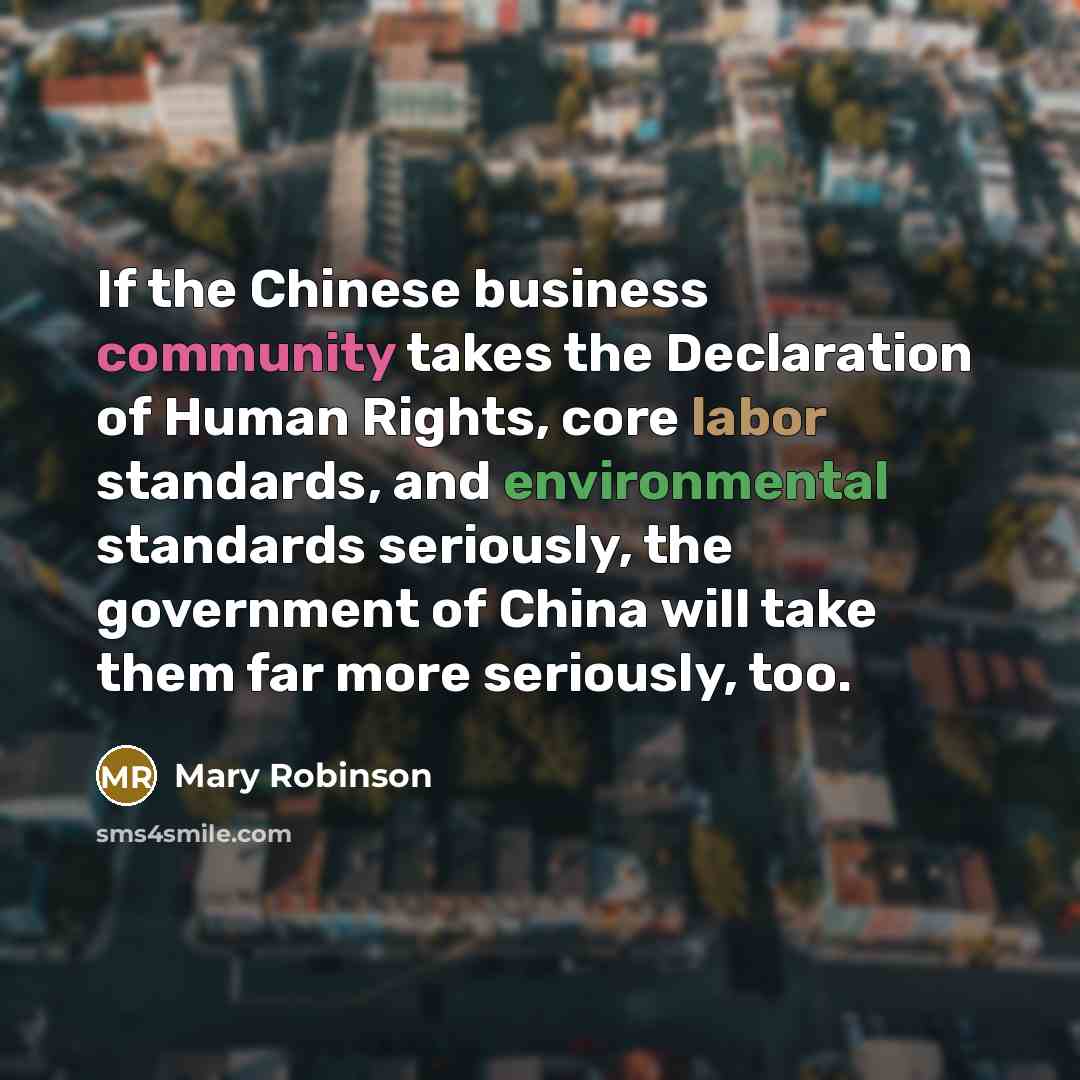 “If the Chinese business community takes the Declaration of Human…” quote by Mary Robinson