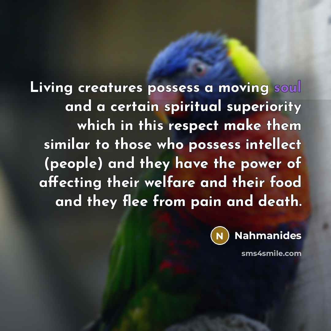 “Living creatures possess a moving soul and a certain spiritual…” quote by Nahmanides