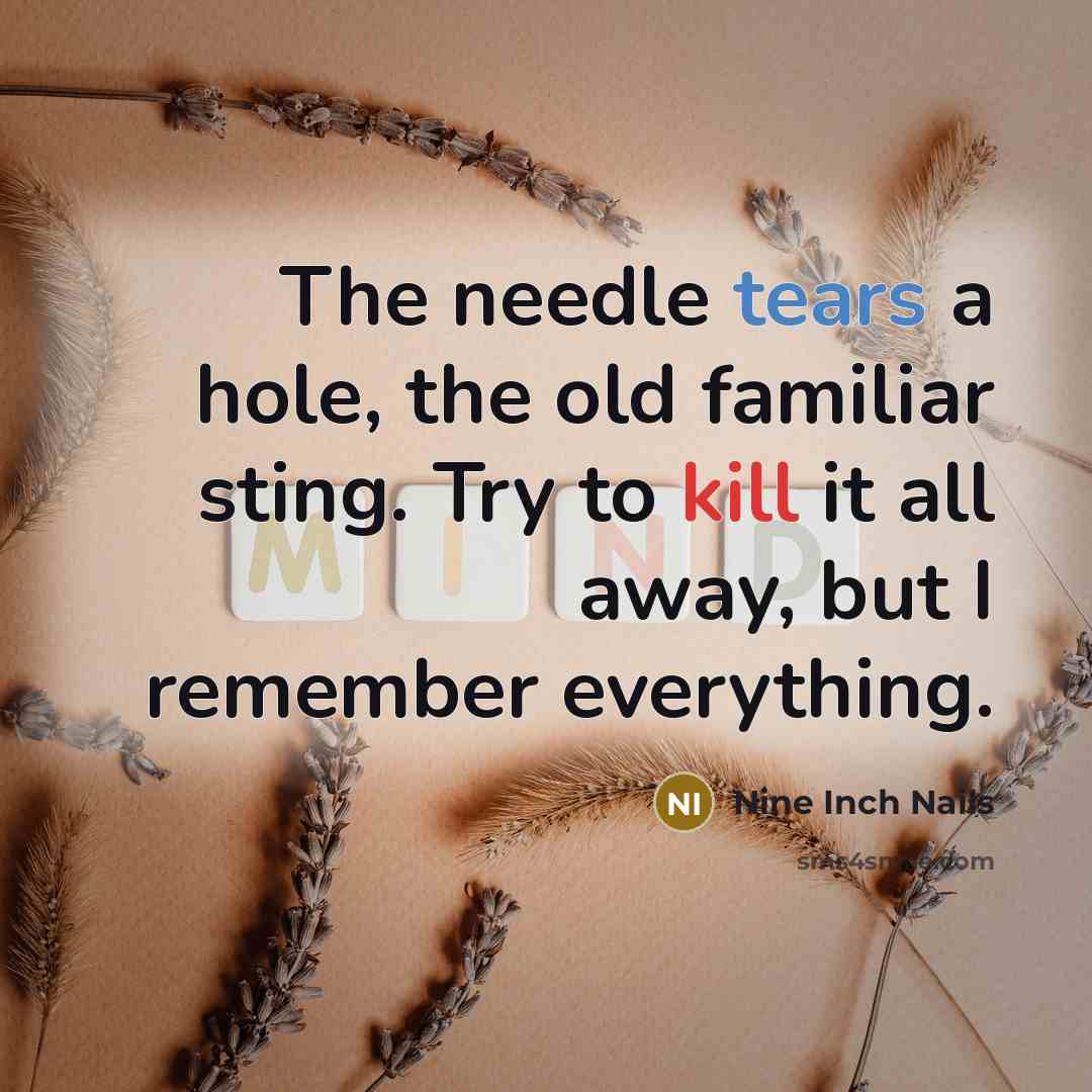 “The needle tears a hole, the old familiar sting. Try…” quote by Nine Inch Nails