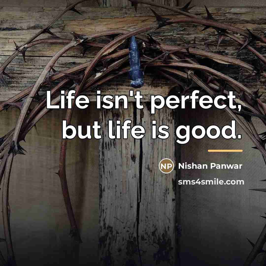 “Life isn't perfect, but life is good.…” quote by Nishan Panwar