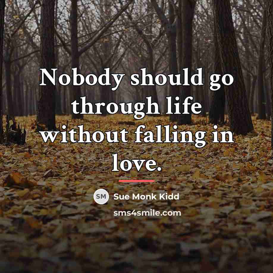 “Nobody should go through life without falling in love.…” quote by Sue Monk Kidd