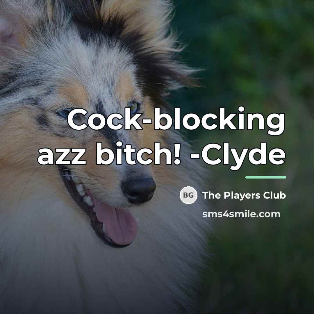 “Cock-blocking azz bitch! -Clyde…” quote by The Players Club