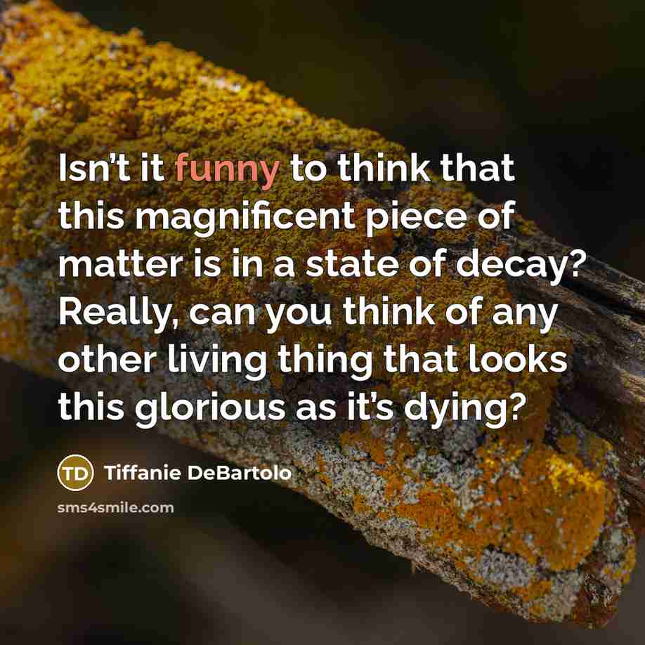 “Isn’t it funny to think that this magnificent piece of…” quote by Tiffanie DeBartolo