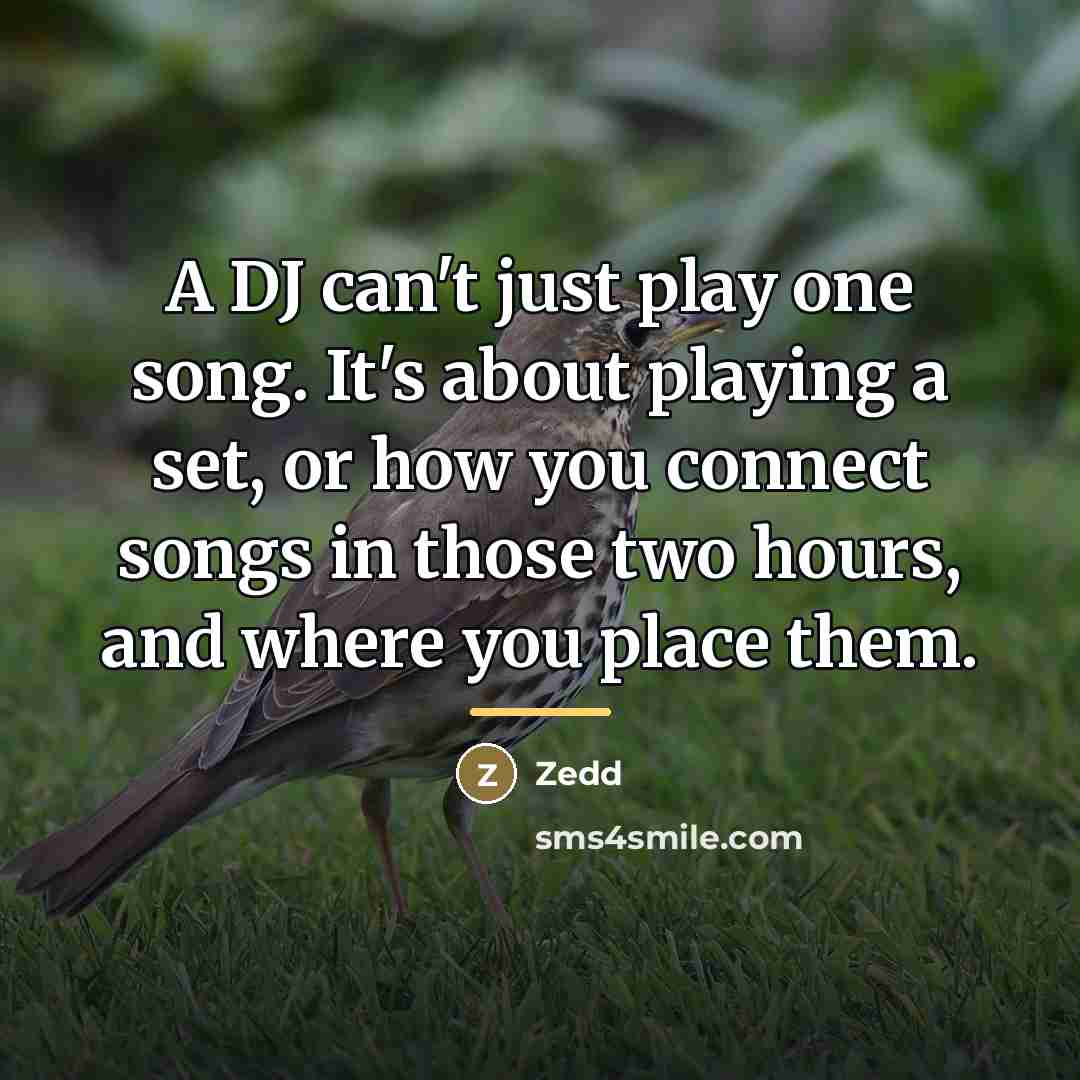 “A DJ can't just play one song. It's about playing…” quote by Zedd