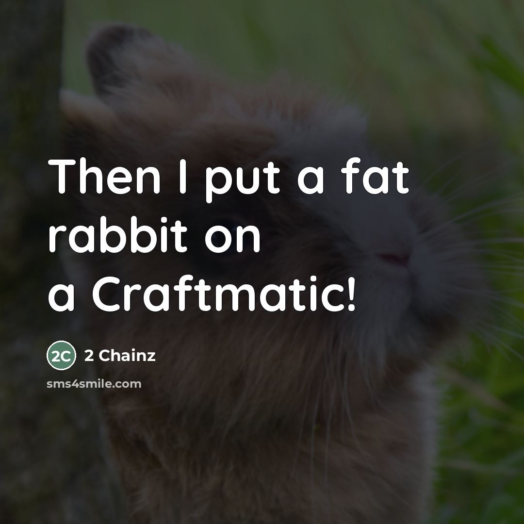 “Then I put a fat rabbit on a Craftmatic!…” quote by 2 Chainz