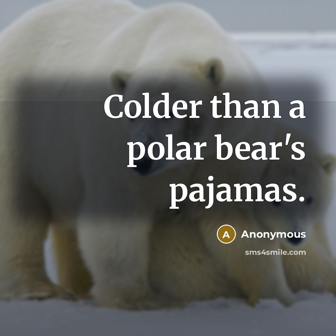 “Colder than a polar bear's pajamas.…” quote by Anonymous