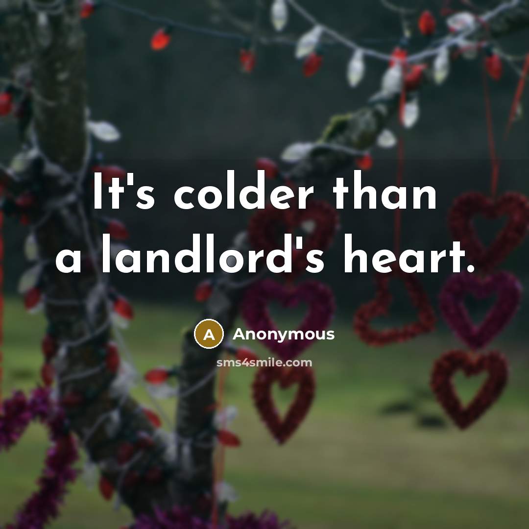 “It's colder than a landlord's heart.…” quote by Anonymous