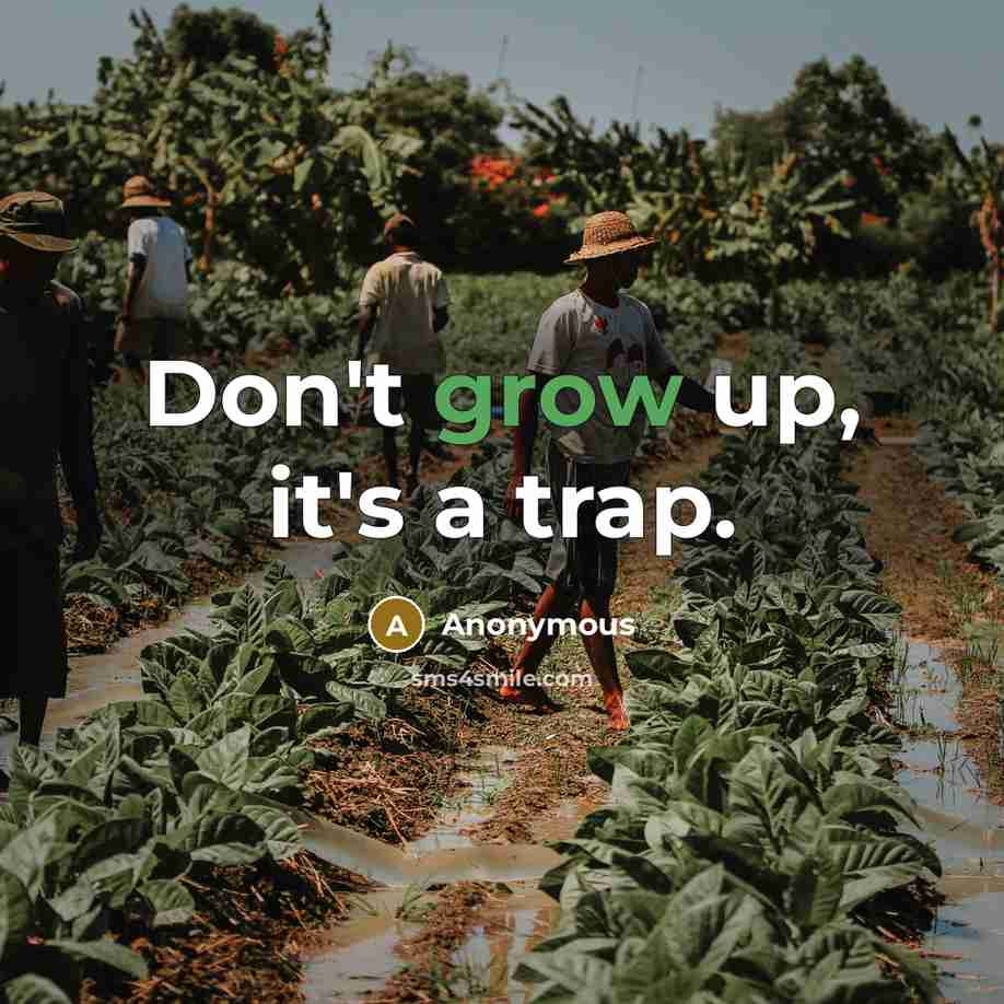 “Don't grow up, it's a trap.…” quote by Anonymous