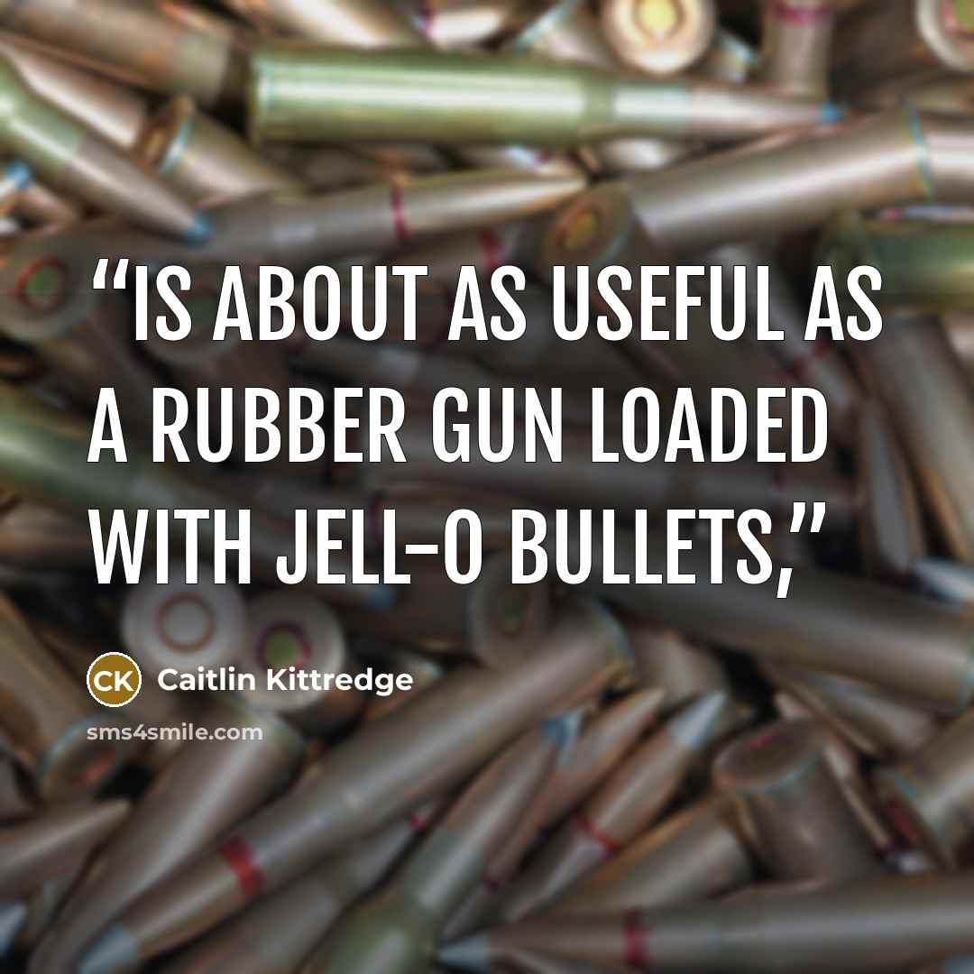 “is about as useful as a rubber gun loaded with Jell-O bullets,” quote by Caitlin Kittredge