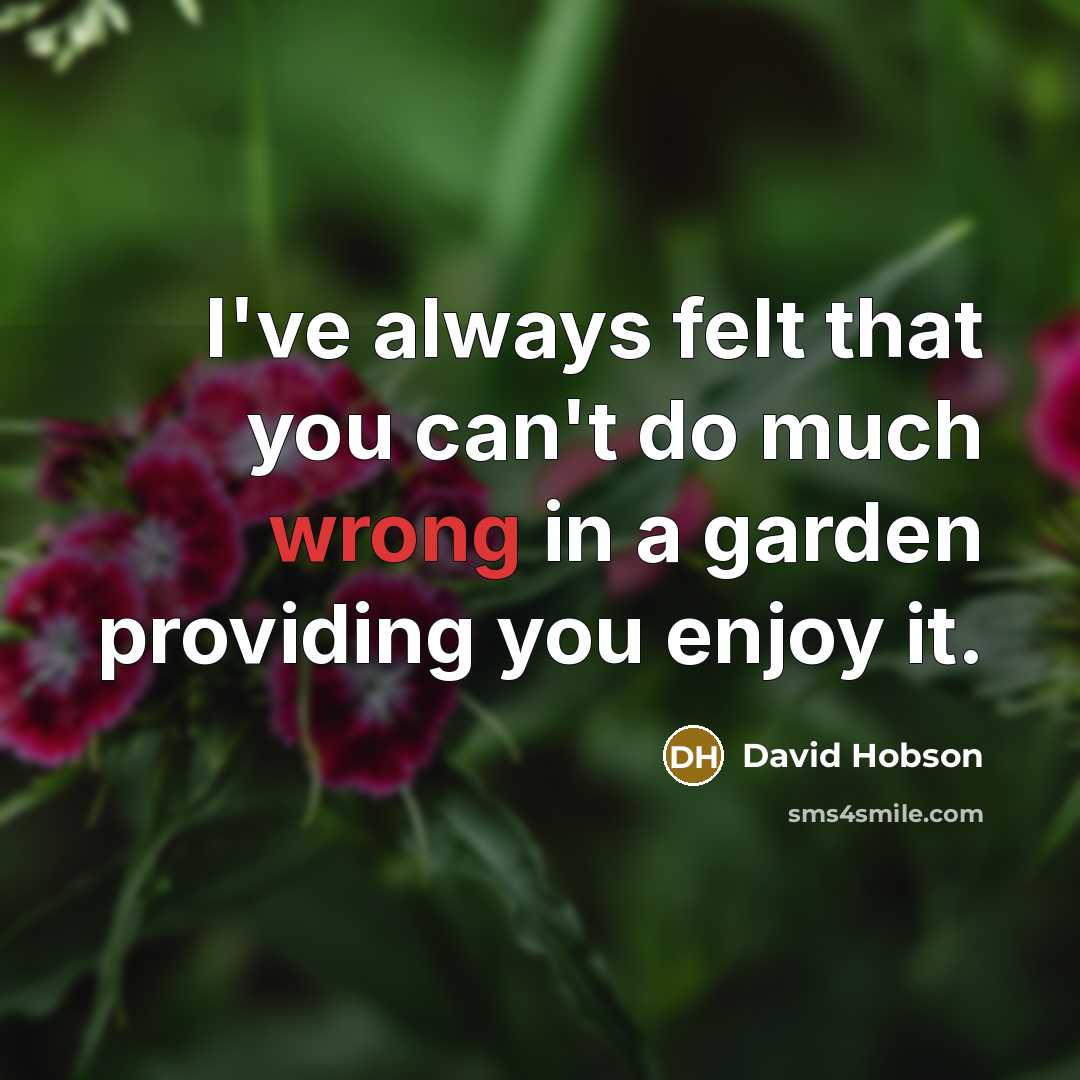 “I've always felt that you can't do much wrong in…” quote by David Hobson